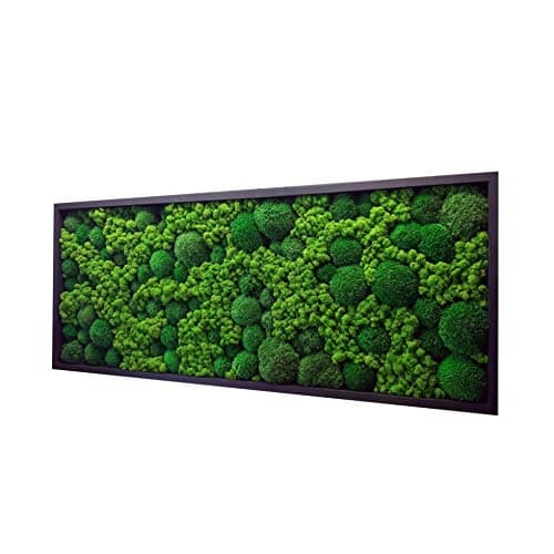 Cadre mural mousse stabilisée rectangulaire naturel intérieur salon bureau, tableau végétal sans entretien (marron, 60 x