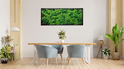Cadre mural mousse stabilisée rectangulaire naturel intérieur salon bureau, tableau végétal sans entretien (marron, 60 x