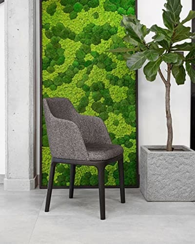 Cadre mural mousse stabilisée rectangulaire naturel intérieur salon bureau, tableau végétal sans entretien (marron, 60 x