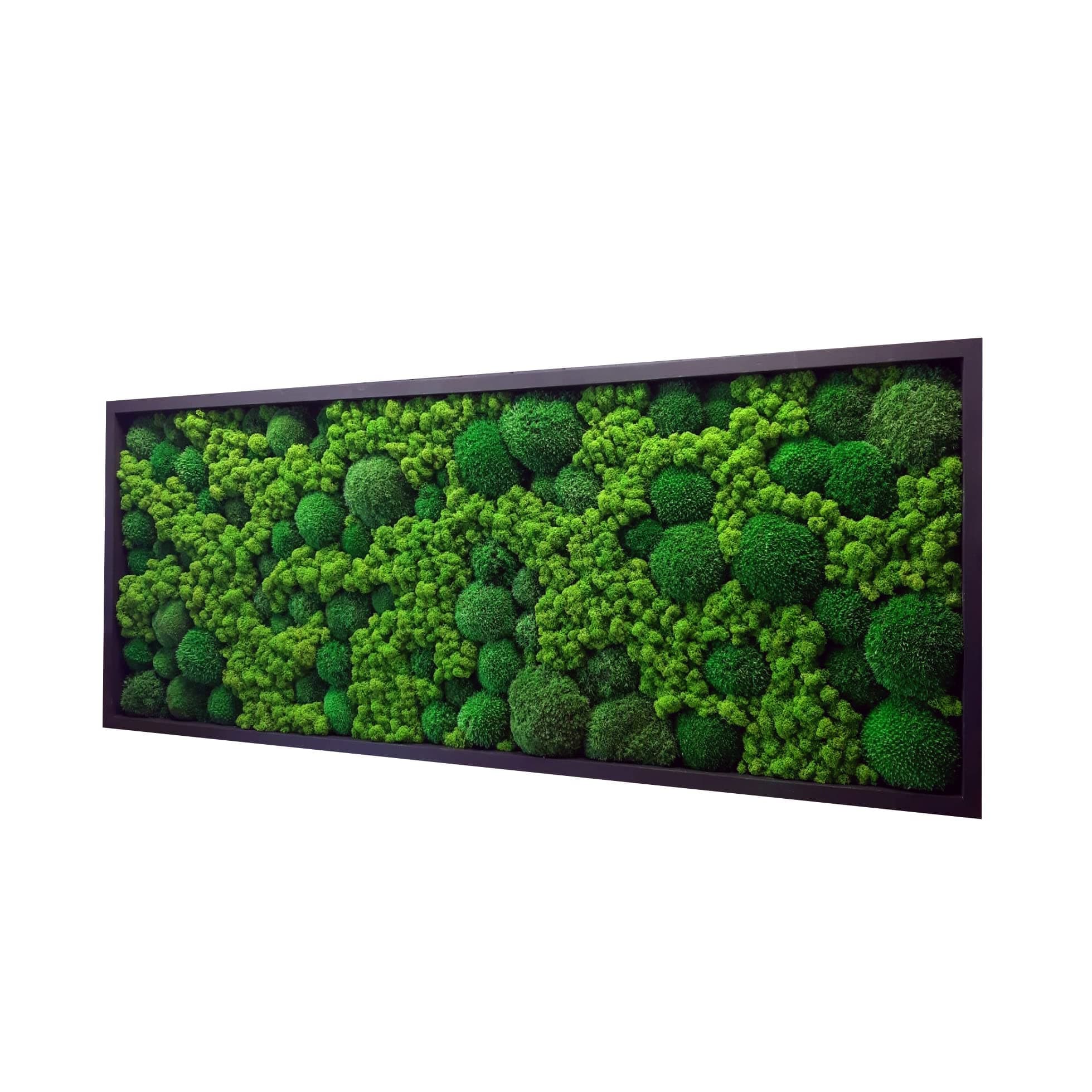 Cadre mural mousse stabilisée rectangulaire naturel intérieur salon bureau, tableau végétal sans entretien (marron, 60 x
